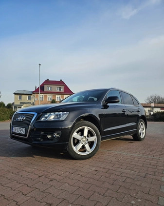 Audi Q5 cena 47000 przebieg: 203000, rok produkcji 2008 z Chojna małe 37